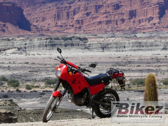 1990 Honda NX 250 photo